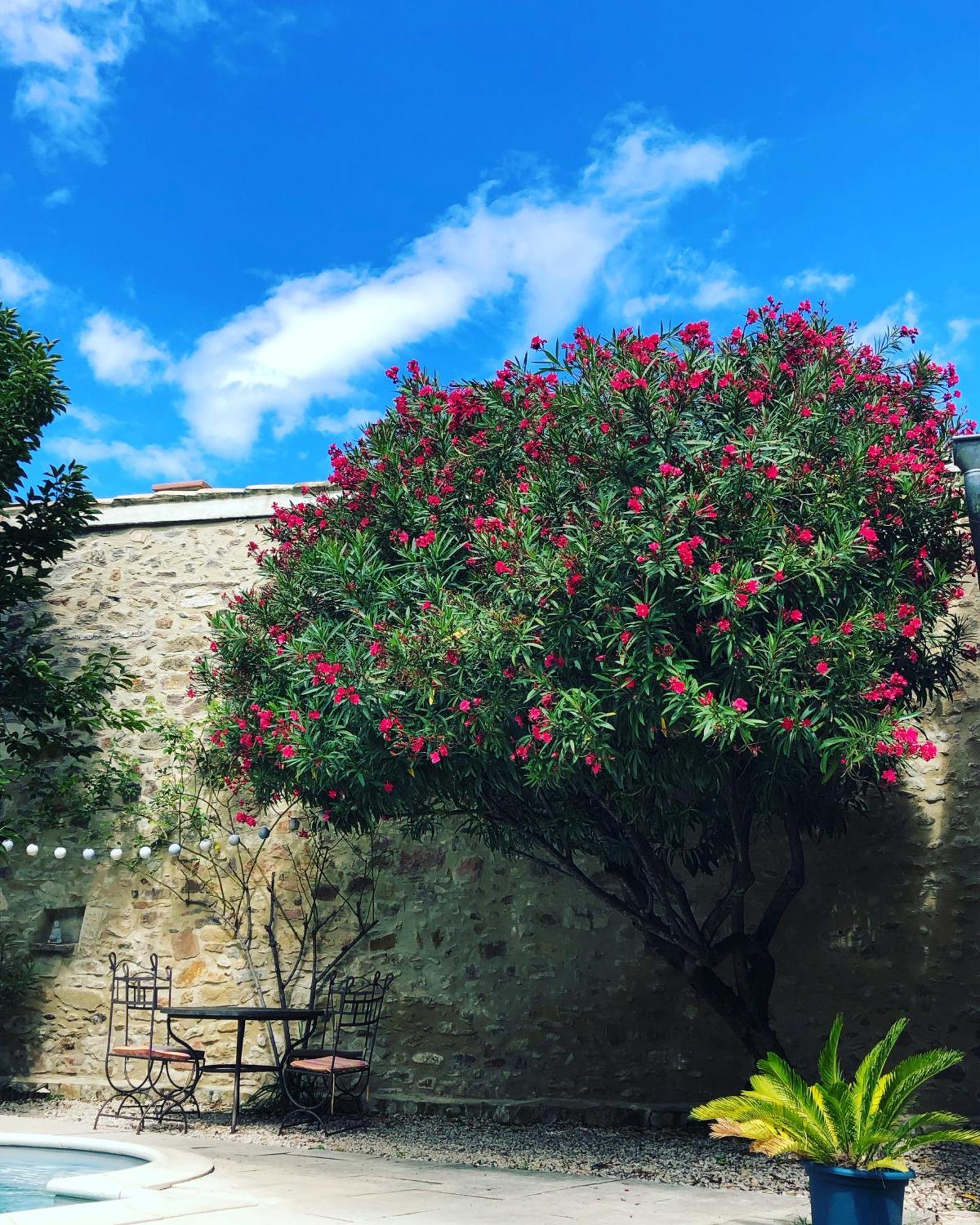 Saint-Julien-de-Peyrolas Maison Des Bourgades المظهر الخارجي الصورة